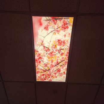 Saint Sushi And Sake - Sushi Bars Near Me - Leavenworth, Kansas Saint Sushi And Sake - Sushi Bars Near Me - Leavenworth, Kansas