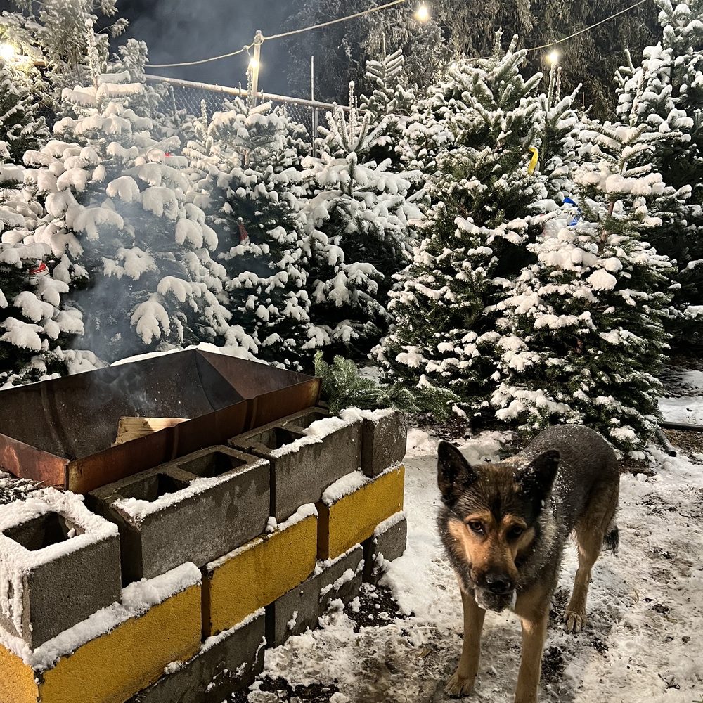 Garden Stop - Nurseries & Gardening Near Me - Taylorsville, Utah Garden Stop - Nurseries & Gardening Near Me - Taylorsville, Utah