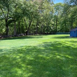 American Landscape And Lawn Science