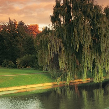Cambridge Chauffeur Punts - Boat Charters Near Me - Cambridge, CAM