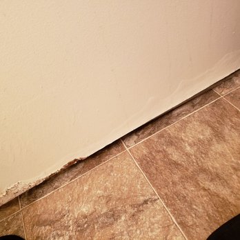 Arbor Pointe Apartments - The door we got when we moved in and we don't even have a dog. - Apartments Near Me - Sacramento, California