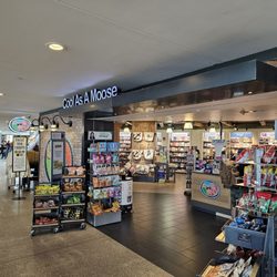 Cool As A Moose - Storefront
