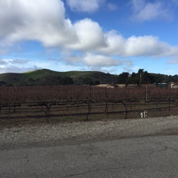 Grapeline Wine Tours - Wine Tours Near Me Grapeline Wine Tours - Wine Tours Near Me