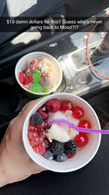 MOOD Froyo & Coffee by null