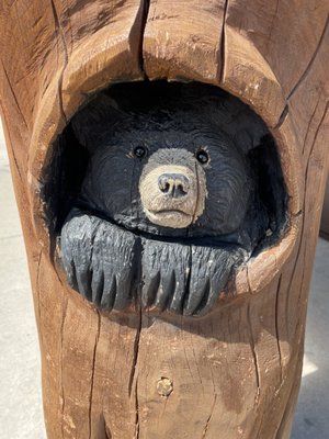 Bear Country USA by null