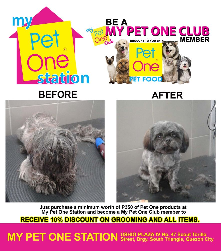 MY PET ONE STATION Updated October 2024 11 Photos RM 1103 West