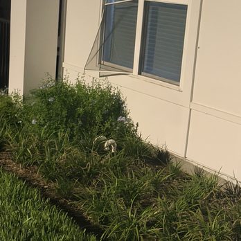 Vue at The Ridge - Apartments Near Me - Apopka, Florida