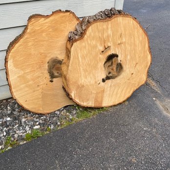 Los romero's tree service - Tree Services Near Me Los romero's tree service - Tree Services Near Me