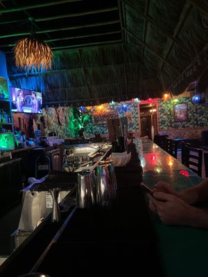 The Dead Flamingo @ Casa Tiki by null
