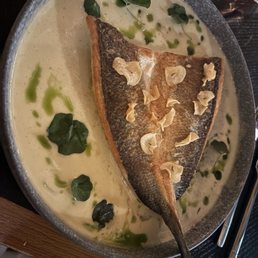 Mediterranean Sea bass