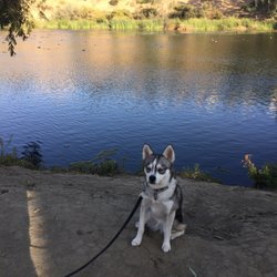 Pooch Park