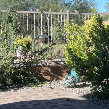 Paul's Ace Hardware - They have great bird seed feeders too, and lots of quality seed for your birds to enjoy! - Hardware Stores Near Me - Fountain Hills, Arizona Paul's Ace Hardware - They have great bird seed feeders too, and lots of quality seed for your birds to enjoy! - Hardware Stores Near Me - Fountain Hills, Arizona