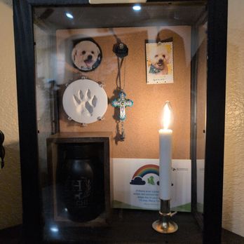 Bark Park - His last stay... - Pet Sitting Near Me - Spring Valley, California