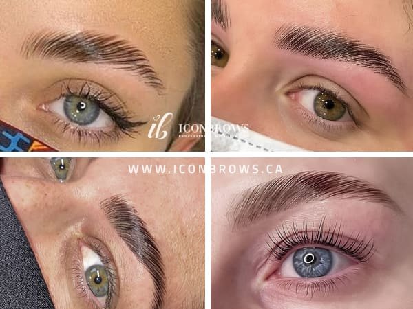 Iconbrows: Eyebrow Perfection Professional Microblading Logo