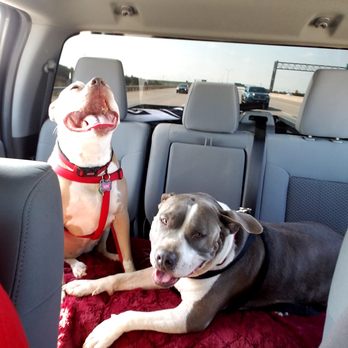 trinity veterinary clinic