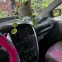 Photo of Exquisite's Car Detailing