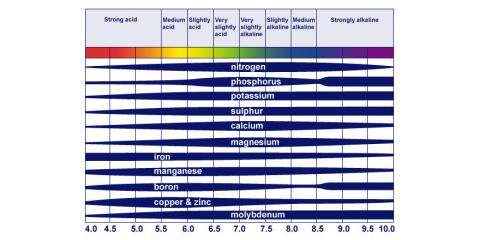 Slide of Nature Plus Lawn & Irragation