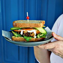 Vegan Shnitz