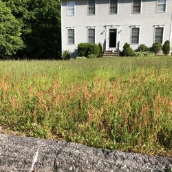 Jheper - Lawn mowing