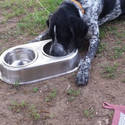 Tucker had his first visit at Scott Kennels. He was happy and tired at the end of his day. Tucker had his first visit at Scott Kennels. He was happy and tired at the end of his day.