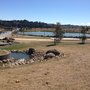 Photo of Albany Lakes