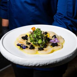 Palma Ristorante - Torched Scallop Crudo, appetizer