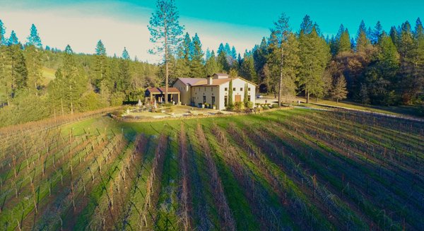 Miraflores Winery by null
