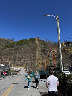 Gatlinburg SkyPark by null
