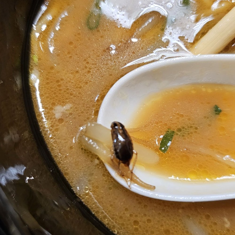 Naniwa-Ya Ramen - This place has ROACHES in their food!! - Ramen Near Me - Honolulu, Hawaii Naniwa-Ya Ramen - This place has ROACHES in their food!! - Ramen Near Me - Honolulu, Hawaii