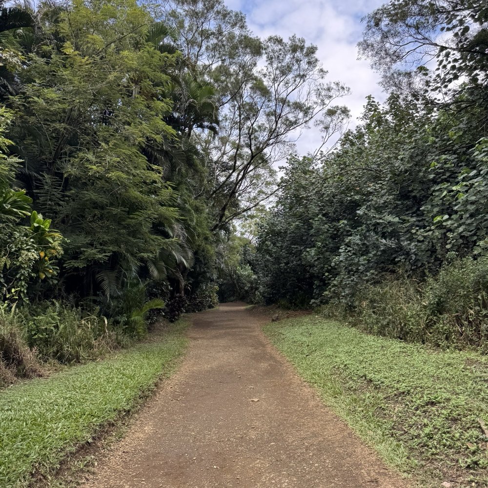 Twin Falls Trail - Hiking Near Me - Haiku, Hawaii Twin Falls Trail - Hiking Near Me - Haiku, Hawaii