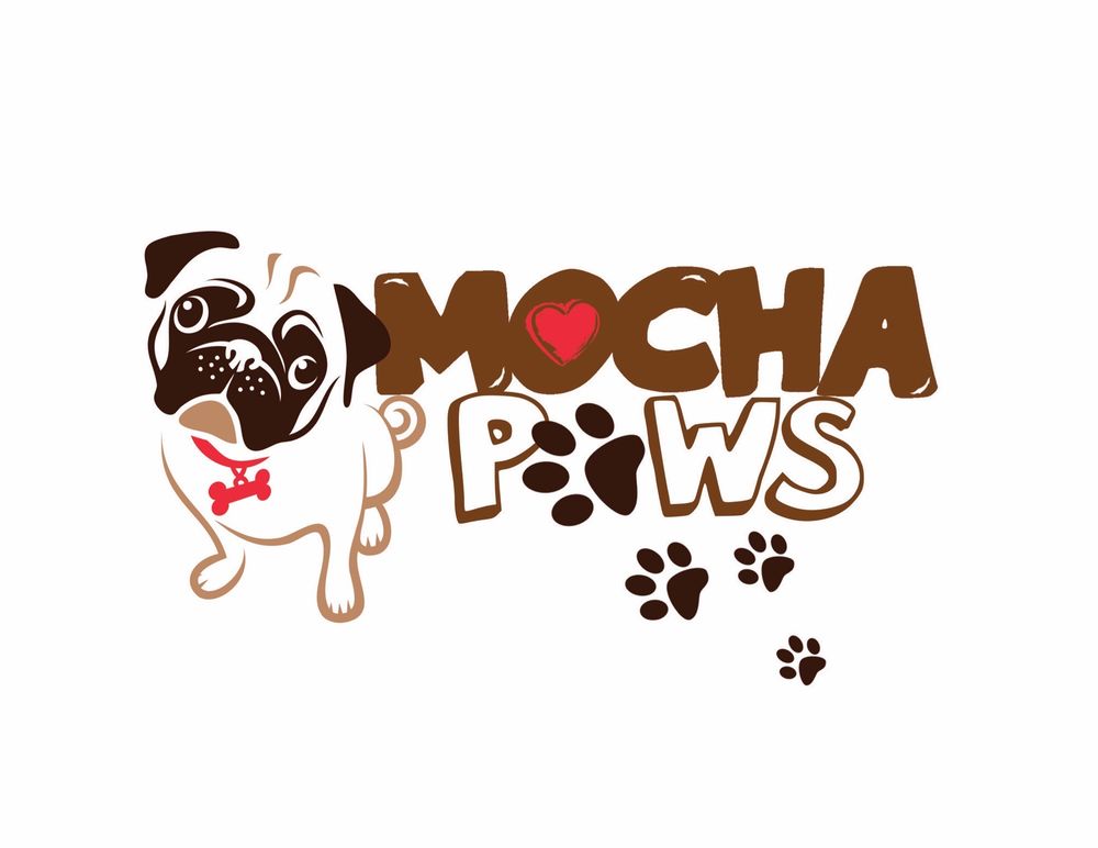 Mocha Paws - pet boarding facility in Buffalo, NY