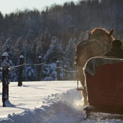 Ferme Duquette - End of the afternoon