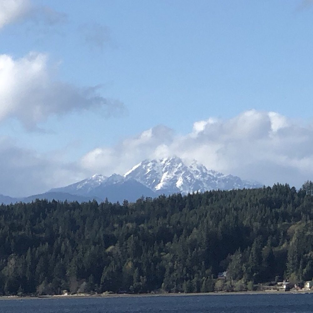 Restaurant at Alderbrook - View from our seat - Seafood Near Me - Union, Washington