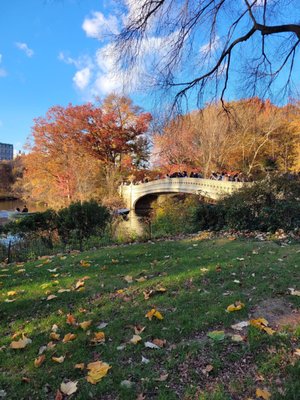 Bow Bridge by null