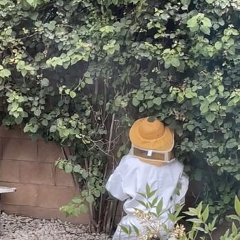 Un Bug Me Pest Control & Termite - Pest Control Near Me - Los Angeles, California Un Bug Me Pest Control & Termite - Pest Control Near Me - Los Angeles, California