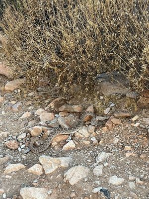 Gateway Trailhead - McDowell Sonoran Preserve by null