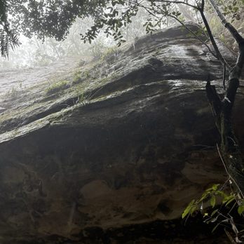 Scenic World Blue Mountains - Rain rain rain - Tours Near Me - Katoomba, NSW