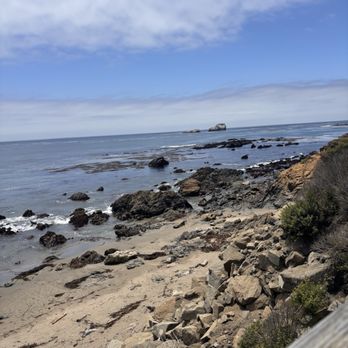 Elephant Seal Vista Point - Beaches Near Me - San Simeon, California