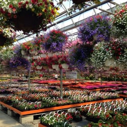 Jusko's Greenhouse