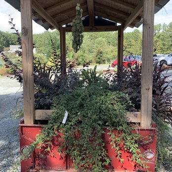 For Garden's Sake - Nurseries & Gardening Near Me - Durham, North Carolina For Garden's Sake - Nurseries & Gardening Near Me - Durham, North Carolina
