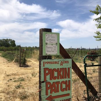 Impossible Acres Farm - U pick berries and fruit tree section is open now during the summer. Entry fee applies. - Pick Your Own Farms Near Me - Davis, California