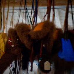 Claw Antler & Hide