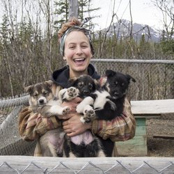 Wildthingz Dog Mushing Summer Tours - Puppies!