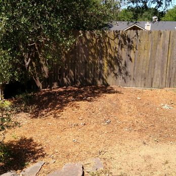 Capital Tree Service - Tree Services Near Me - Lincoln, California Capital Tree Service - Tree Services Near Me - Lincoln, California