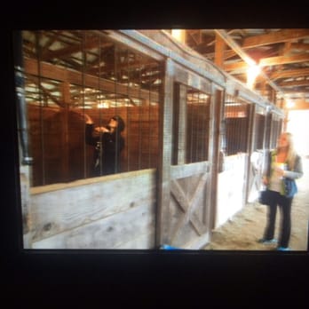Delaware County Fair - My bf in the horse stable - Local Flavor Near Me Delaware County Fair - My bf in the horse stable - Local Flavor Near Me