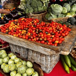 West Palm Beach Food Tours - Fresh tomatoes from local farmers