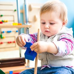 The Children's Tree Montessori School - Montessori Creates Consentration