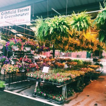 Capitol Market - Farmers Market Near Me - Charleston, West Virginia Capitol Market - Farmers Market Near Me - Charleston, West Virginia