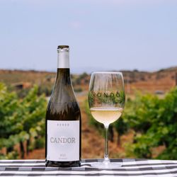 Rondo del Valle - Bottle of sparkling wine chilling in ice during a vineyard tasting experience.