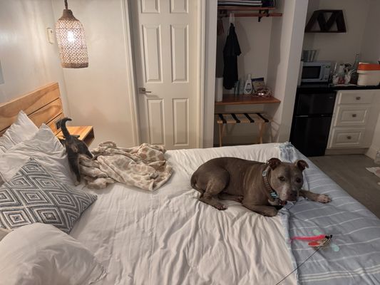 Blue Sands Inn, A Kirkwood Collection Hotel by null